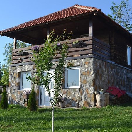 Zlatibor Cottages 外观 照片