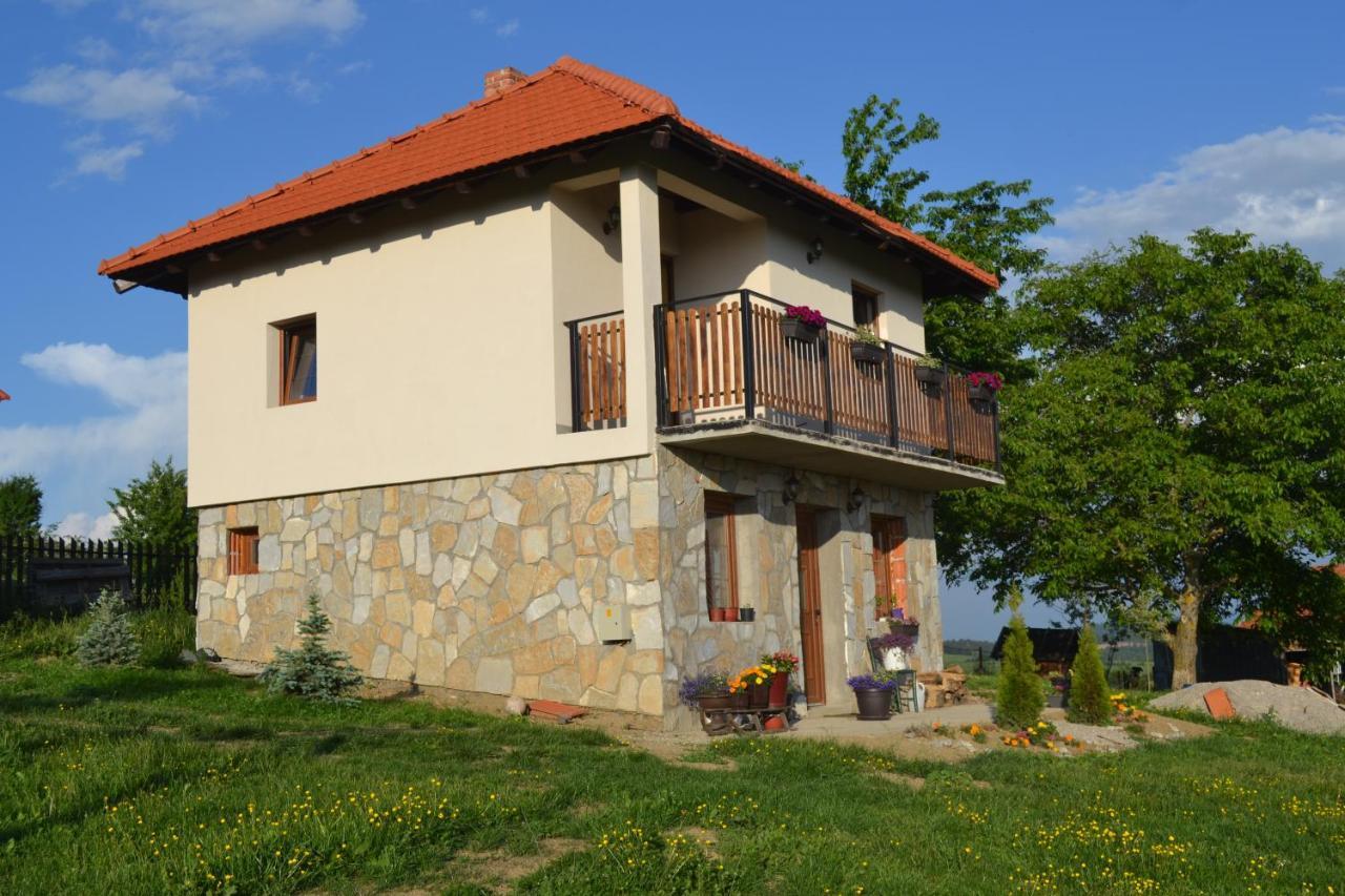Zlatibor Cottages 外观 照片