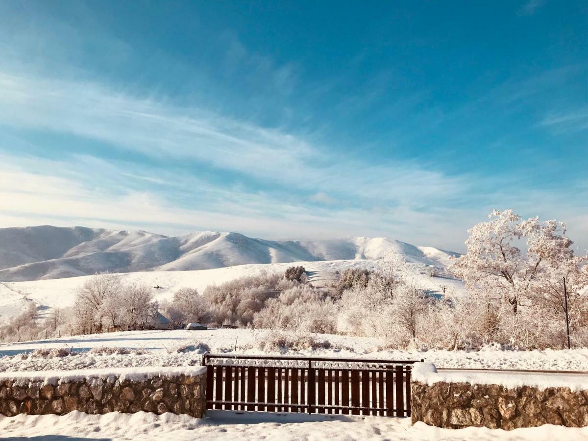 Zlatibor Cottages 外观 照片